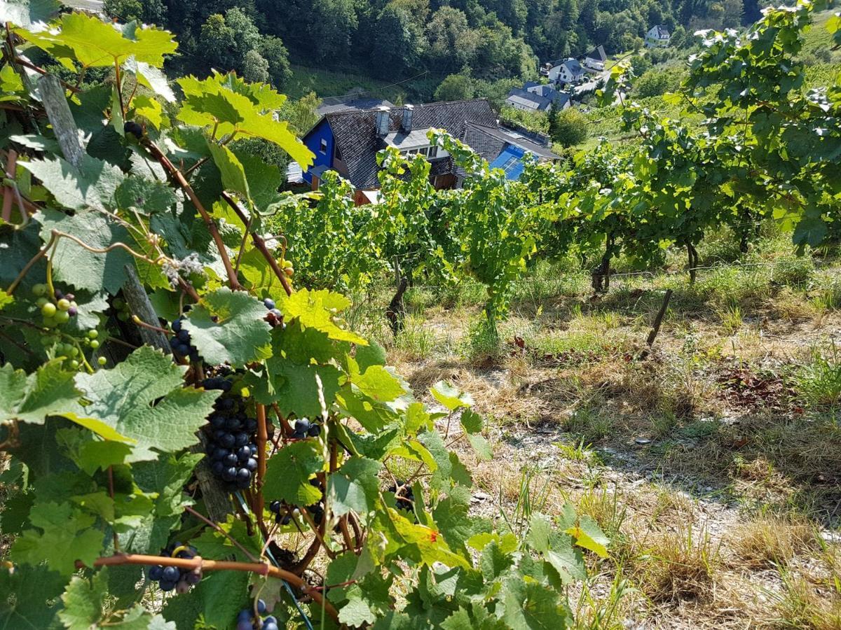 Rhine Pearl Hideaways Leilighet Oberwesel Eksteriør bilde