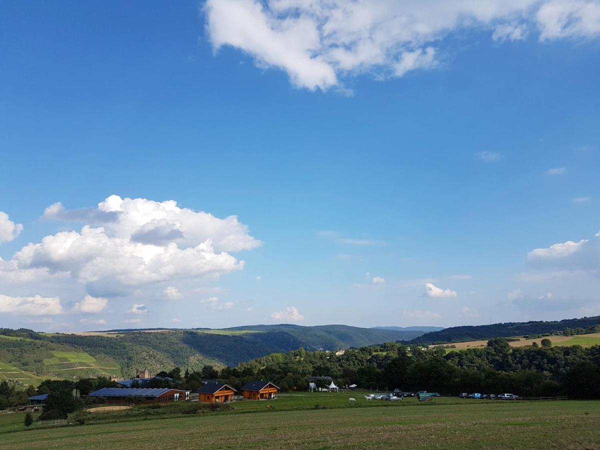 Rhine Pearl Hideaways Leilighet Oberwesel Eksteriør bilde